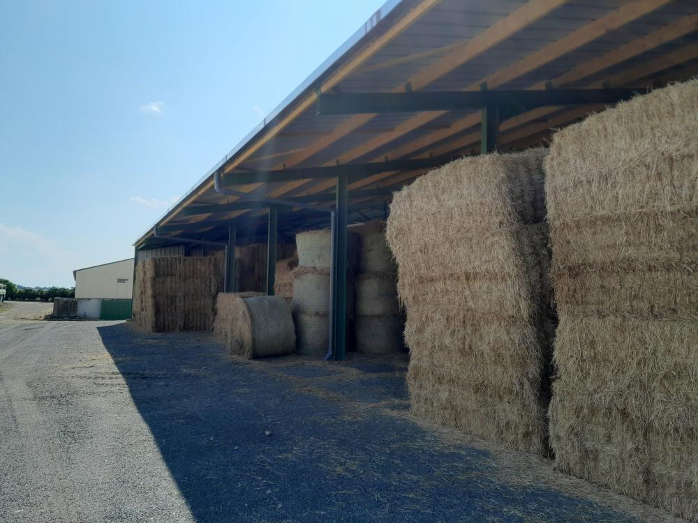 charpente-onillon_Stockage-photo-1277-m2-Assais-les-Jumeaux_2023-4 charpente-onillon_Stockage-photo-1277-m2-Assais-les-Jumeaux_2023-4