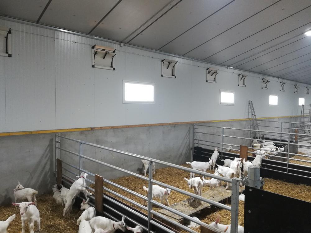 charpente-onillon_bat-chevrettes-2018-Ste-Verge-79-2 charpente-onillon_bat-chevrettes-2018-Ste-Verge-79-2