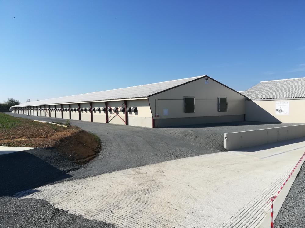 charpente-onillon_batiment-poules-pondeuses-norme-bebc-2018-Le-Voide-49-5 charpente-onillon_batiment-poules-pondeuses-norme-bebc-2018-Le-Voide-49-5