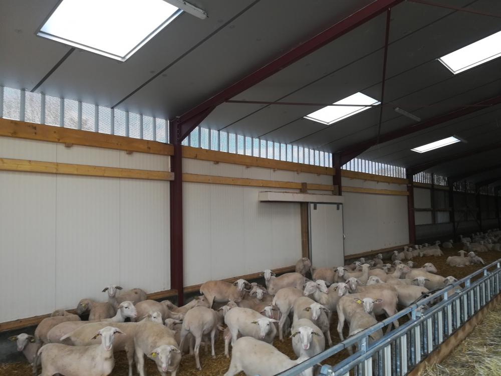 charpente-onillon_ext-bergerie-2020-Chiche-85-6 charpente-onillon_ext-bergerie-2020-Chiche-85-6