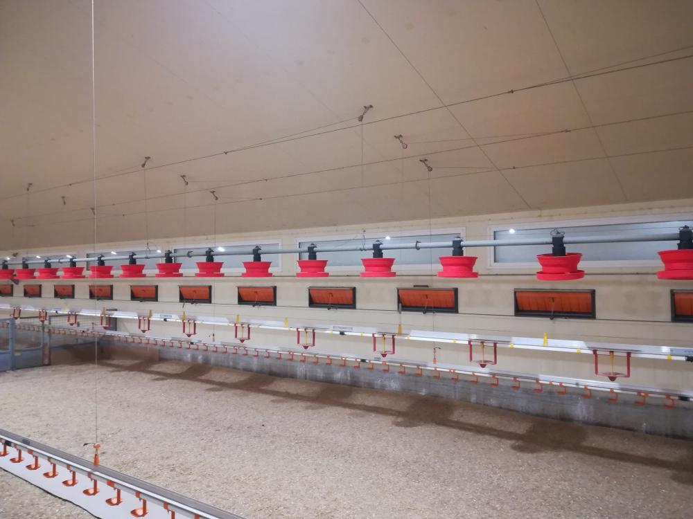 charpente-onillon_renovation-avicole-umiere-naturelle-2020-monsireigne-85-1