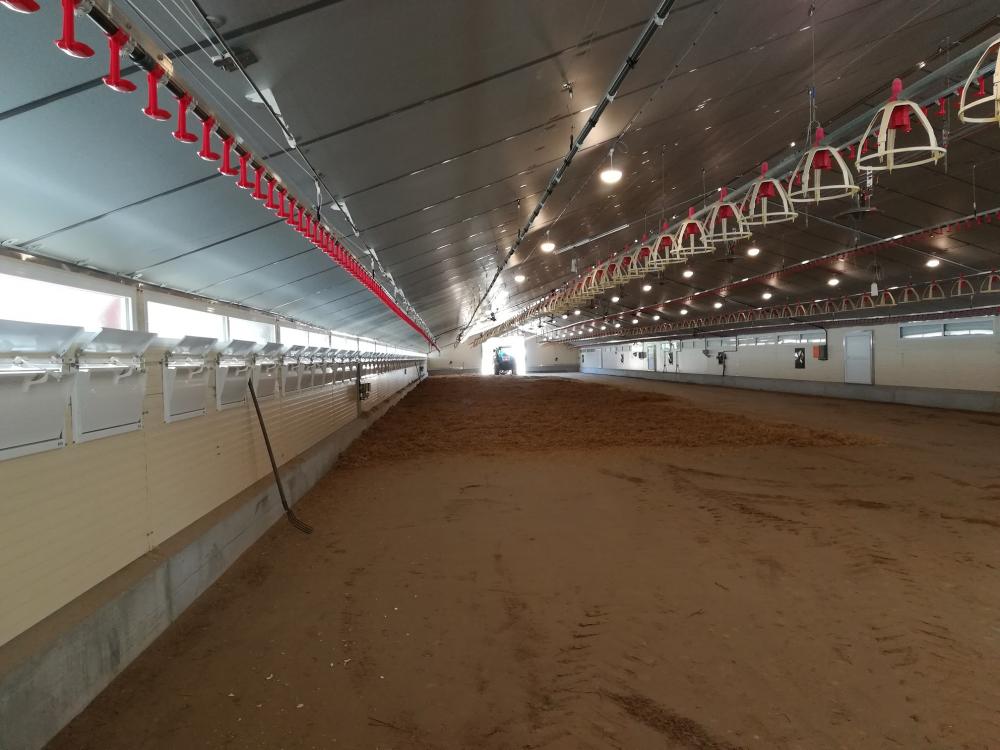 charpente-onillon_renovation-bat-volailles-2019-st-aubin-de-baubigne-79-3