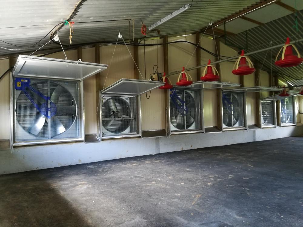 charpente-onillon_renovation-bat-volailles-lumiere-naturelle-2020-mauleon-79-3