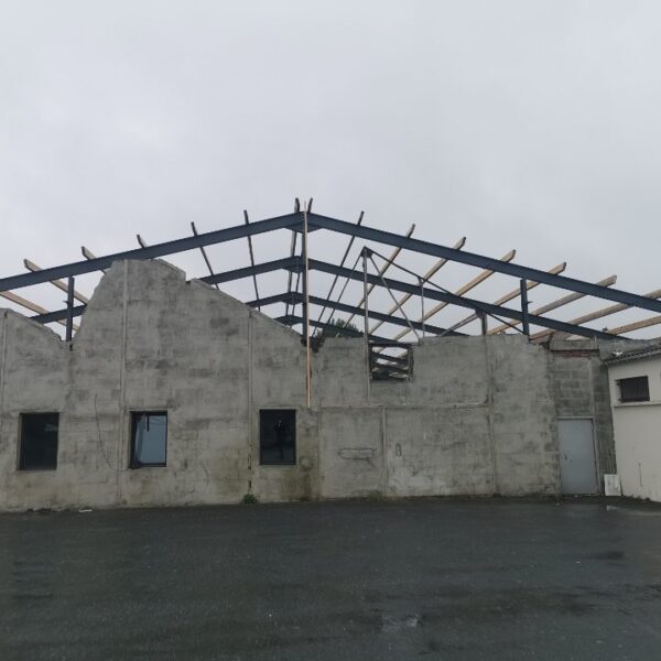 Rénovation Moulins (79)