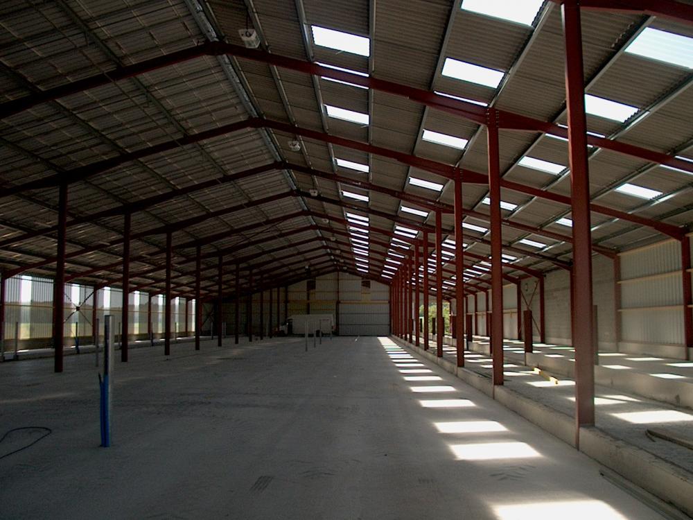 Stabulation et hangar avec pnx photovoltaïques (2011) 3 630 m² - La Plaine (49) | 