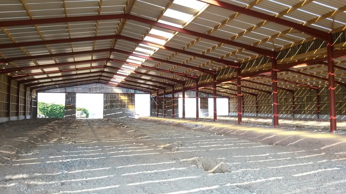 Bâtiment vaches allaitantes (2015) 2550 m² - Treize Vents (85) |  | Couverture agri-confort
