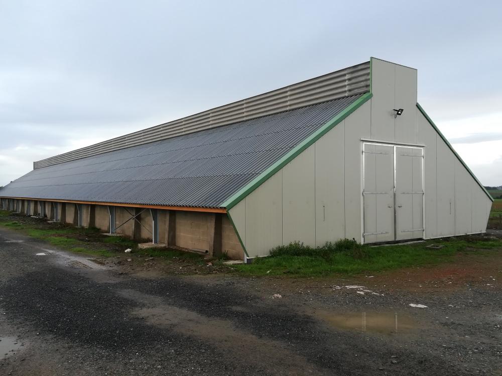 Bâtiment canards (2019) 700 m² - Mouilleron en Pareds (85) | 